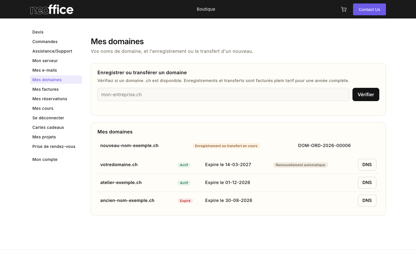La page Mes domaines : une zone pour vérifier un nom, puis la liste de vos domaines