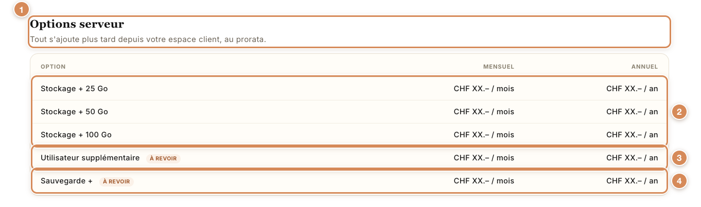 Le tableau Options serveur