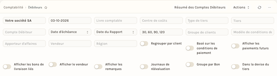 Les filtres du rapport Débiteurs